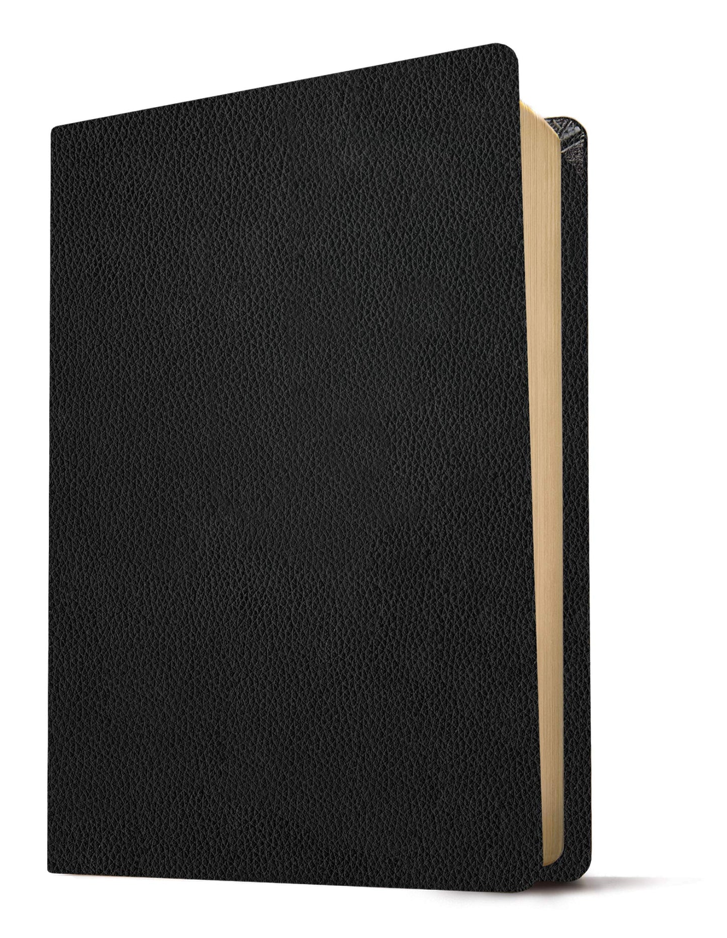 NLT Giant Print Personal Size Filament Enabled Genuine Leather