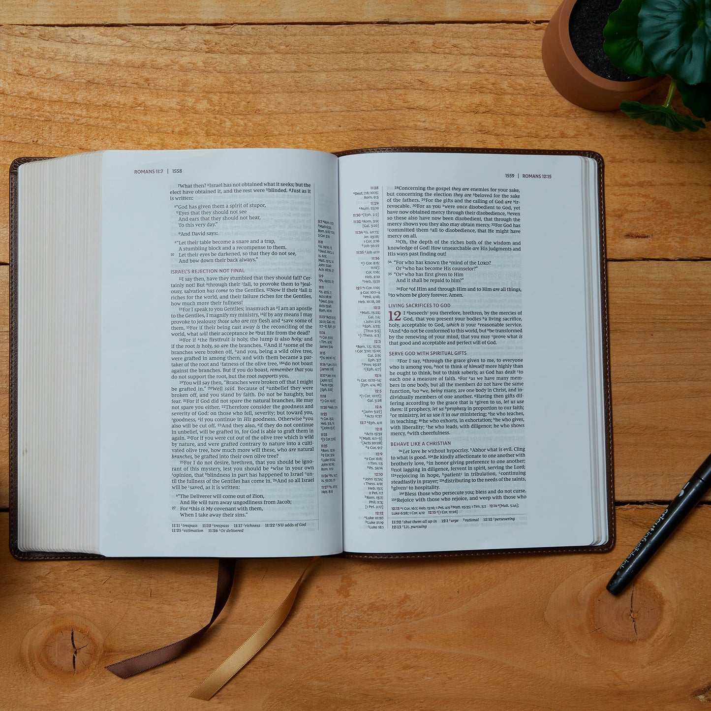 NKJV, Single-Column Wide-Margin Reference Bible, Leathersoft, Brown, Red Letter, Comfort Print: Holy Bible, New King James Version