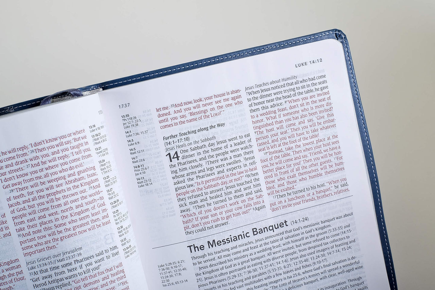NLT Study Bible, TuTone (Red Letter, LeatherLike, Twilight Blue/Brown)