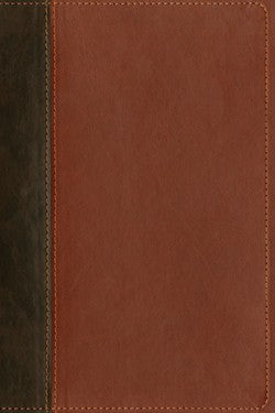 NLT Teen Life Application Study Bible Brown