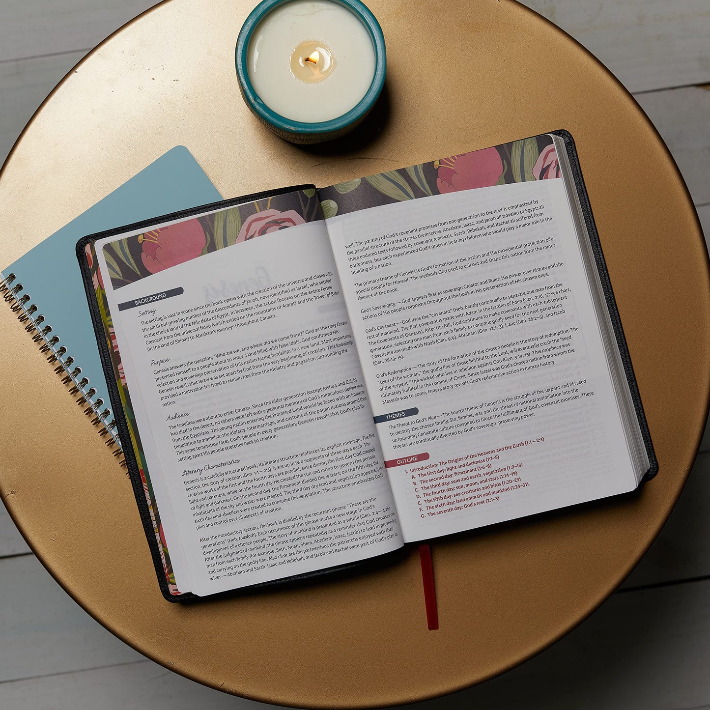 NKJV, The Woman's Study Bible