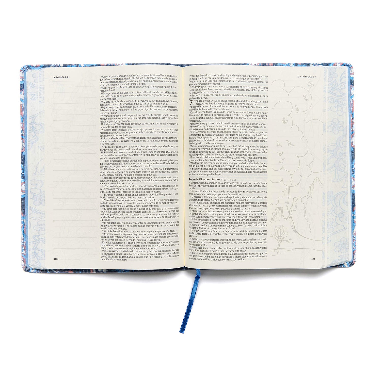 Biblia Reina Valera 1960 de Apuntes, Edición ilustrada. Tela en rosado y azul (Spanish Edition)