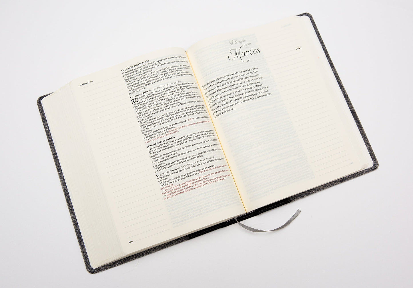 RVR 1960 Biblia de apuntes - Gris - Piel genuina y tela impresa (Spanish Edition)
