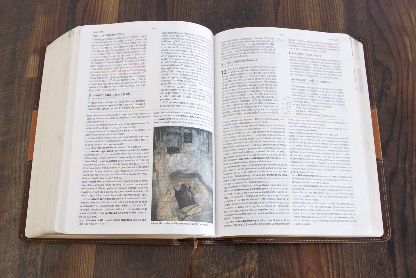 RVR 1960 Biblia de Estudio Holman, chocolate/terracota, símil piel (Spanish Edition)