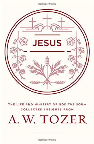 Jesus: The Life And Ministry Of God The Son