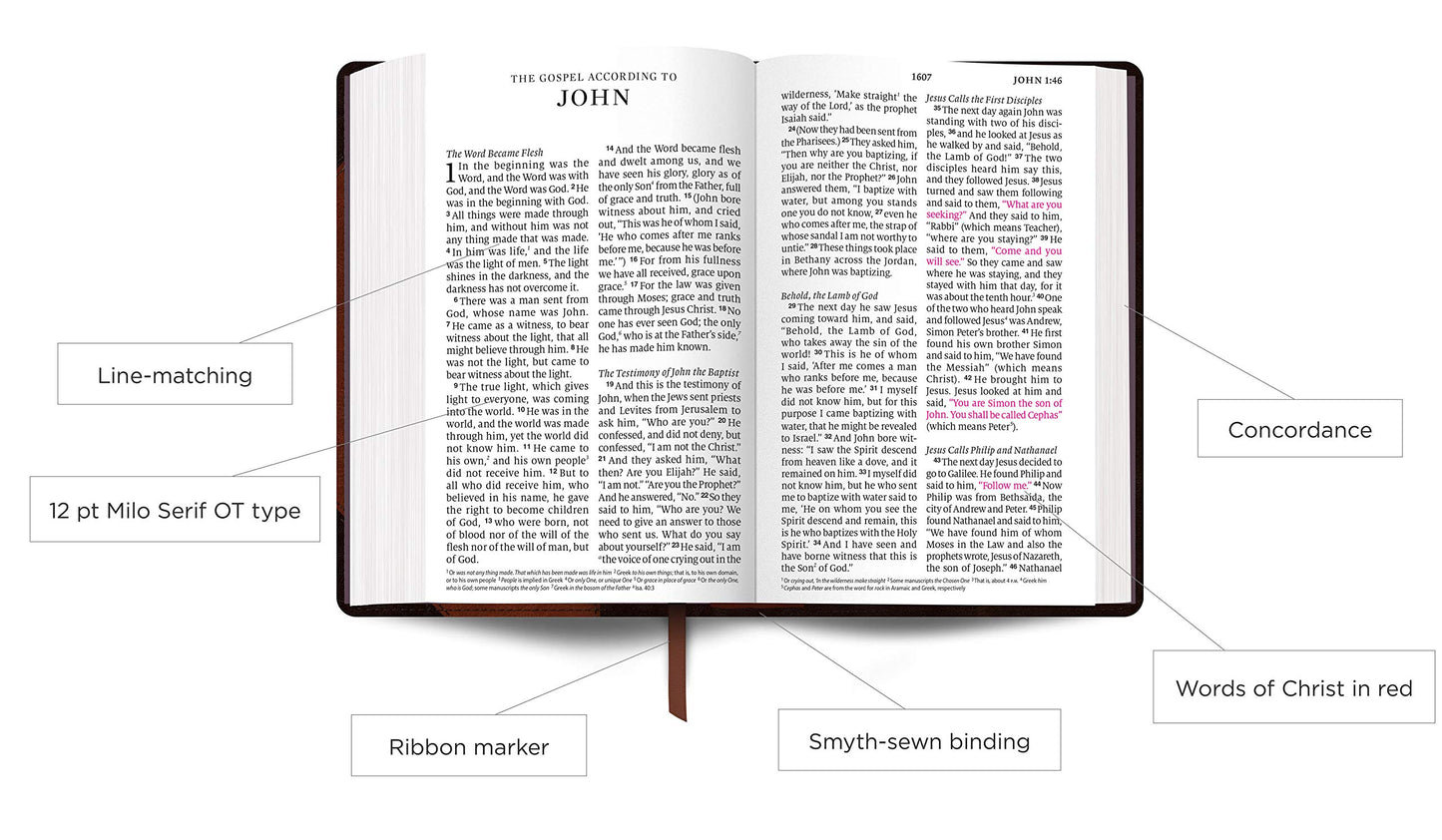 ESV Personal Size Large Print Bible Mahogany