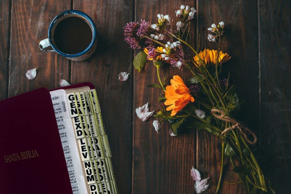Etiquetas de Indización para Biblias (Español)