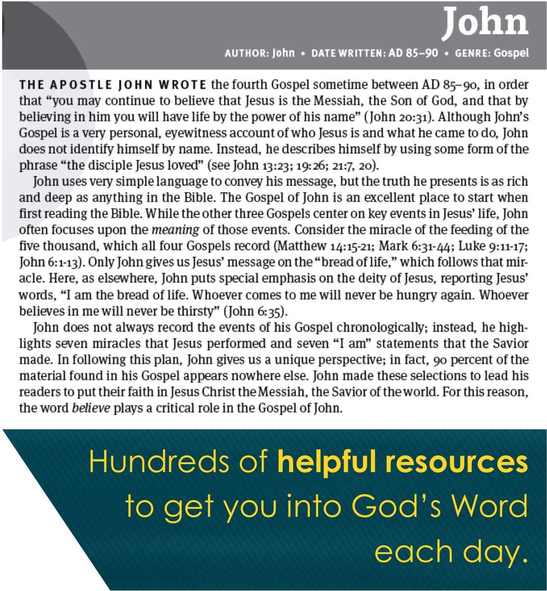 NLT New Believer's Bible Paperback