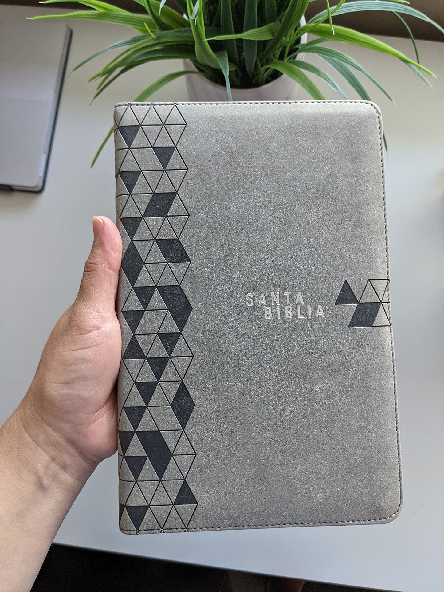 Santa Biblia NTV, Edición cremallera, Gris suave (Spanish Edition)