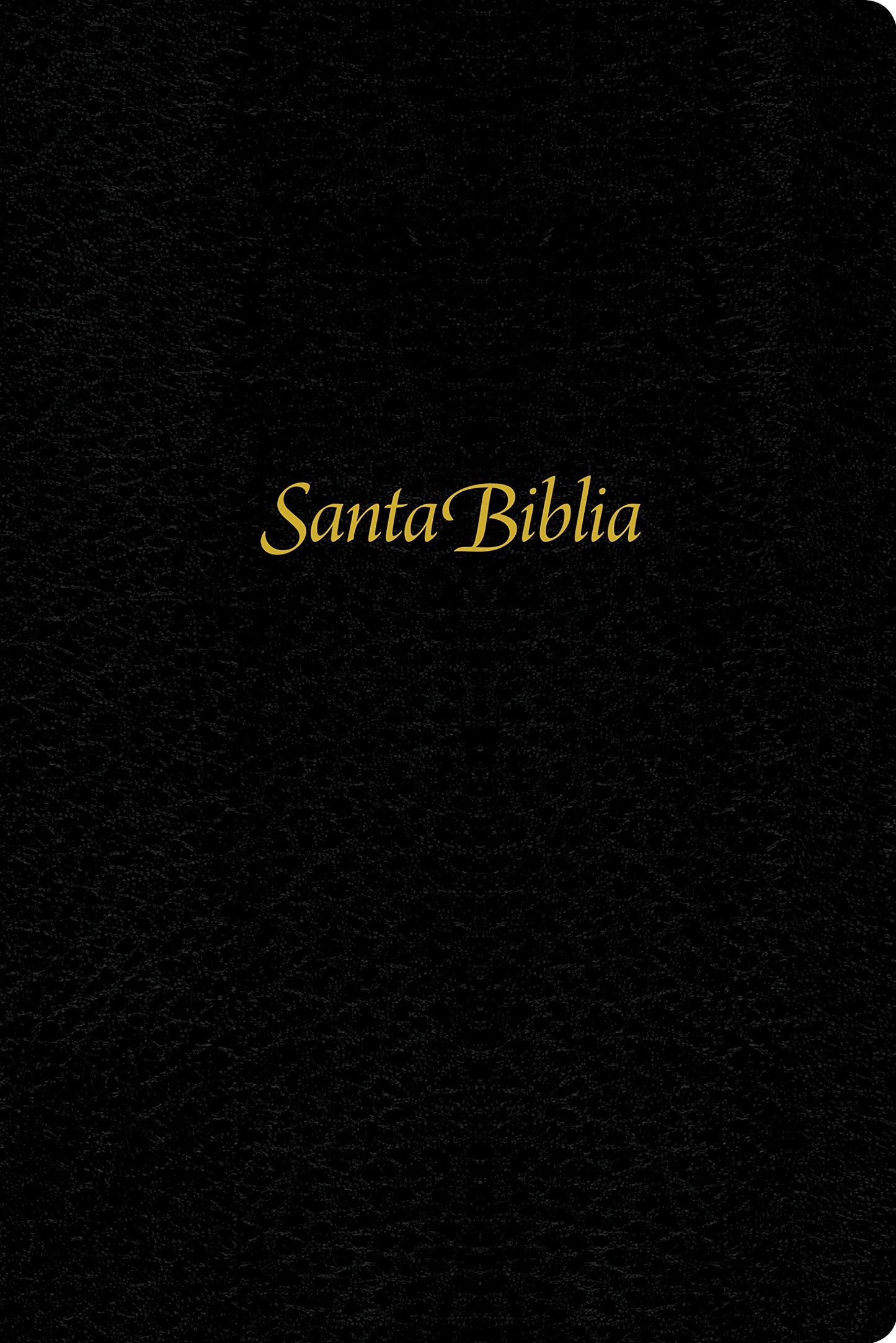 Santa Biblia NTV, Edición personal, letra grande (Spanish Edition)