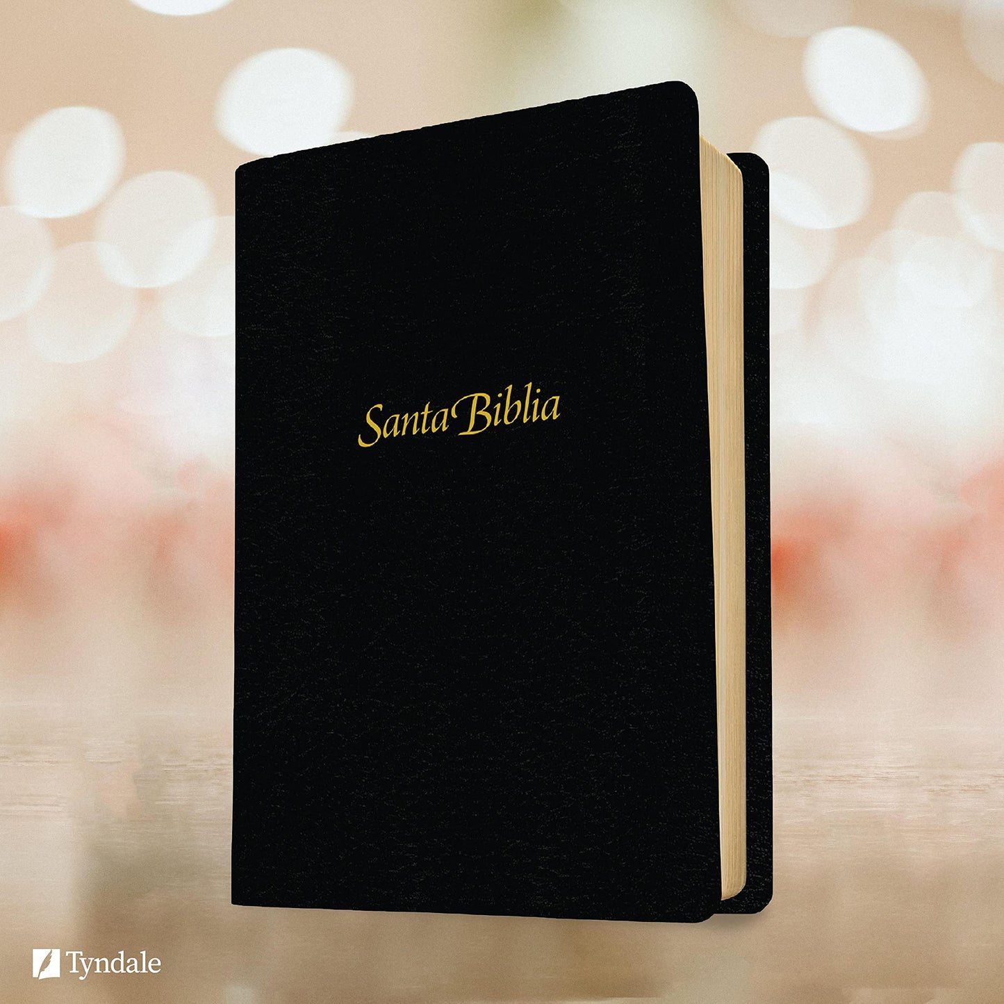 Santa Biblia NTV, Edición personal, letra grande (Spanish Edition)