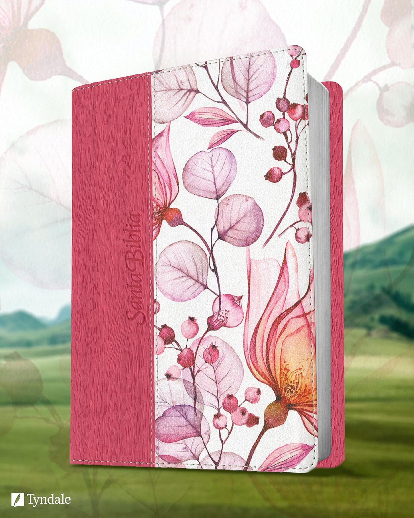 Santa Biblia NTV, Edición personal, letra grande (Spanish Edition)