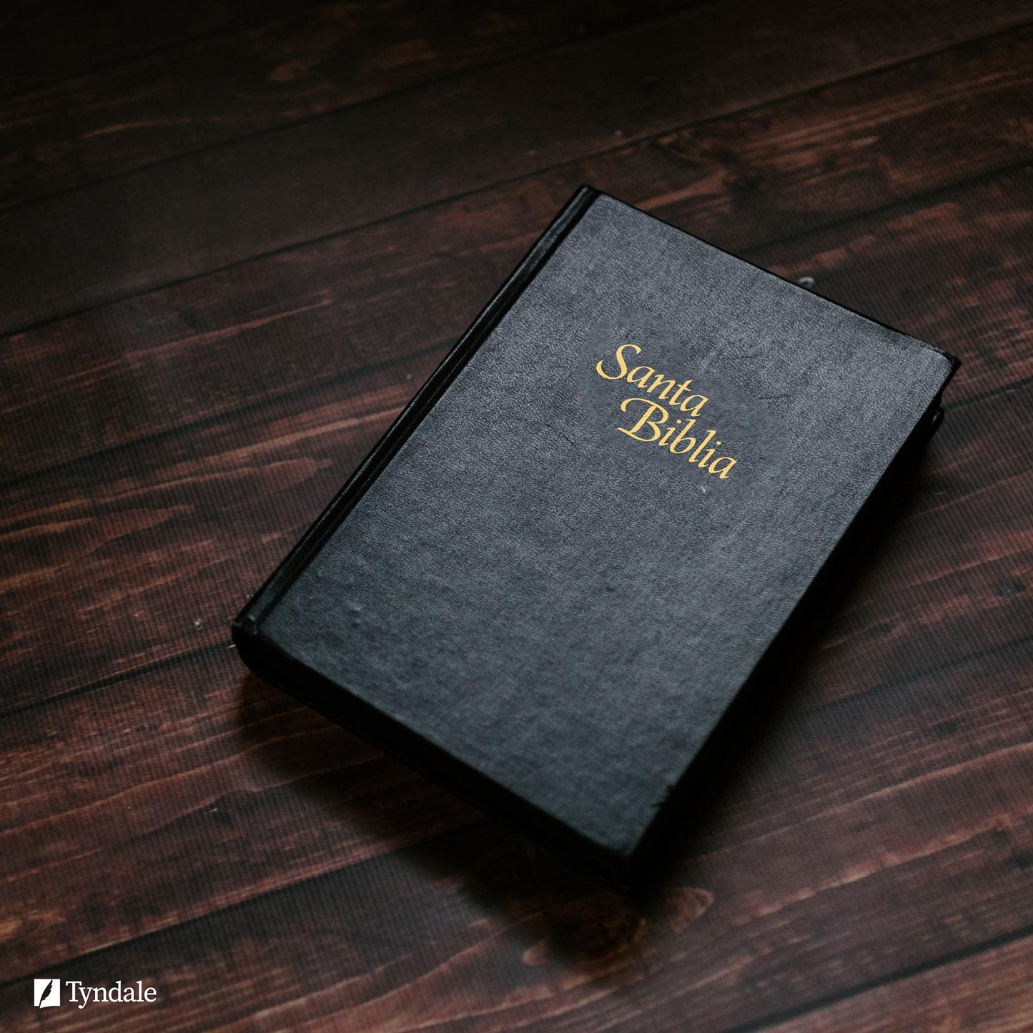 Santa Biblia NTV, Edición personal, letra grande (Spanish Edition)