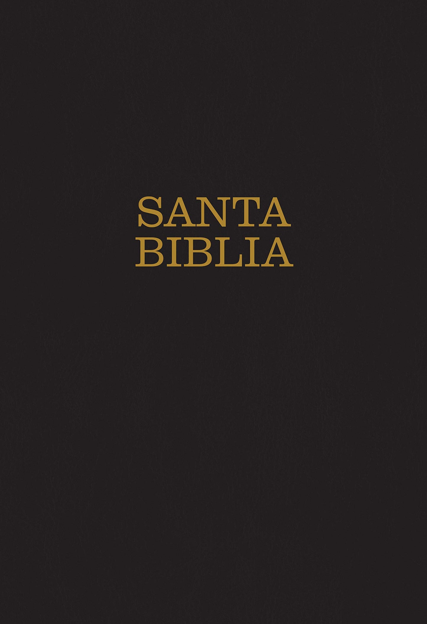 Santa Biblia NTV, letra súper gigante (Spanish Edition)