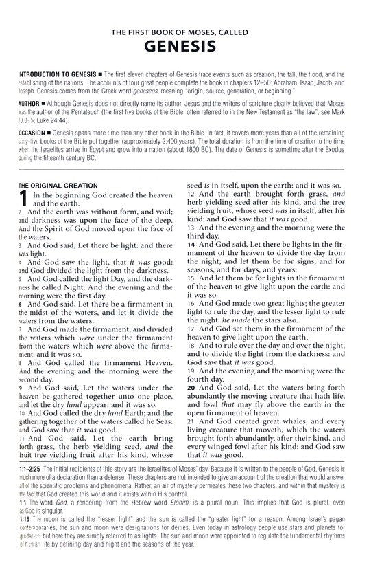 The KJV Study Bible (Indexed) [Evergreen Fog]