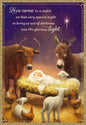 Love Came to a Stable - 18 Christmas Boxed Cards