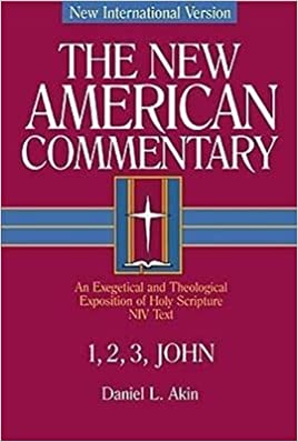 1,2,3 John: An Exegetical and Theological Exposition of Holy Scripture (Volume 38) (The New American Commentary)