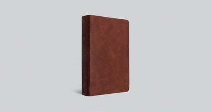 ESV Teen Study Bible (TruTone, Burnt Sienna)