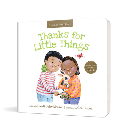 Thanks for Little Things: A Heart-to-Heart Talk with Jesus (A Child's First Bible)