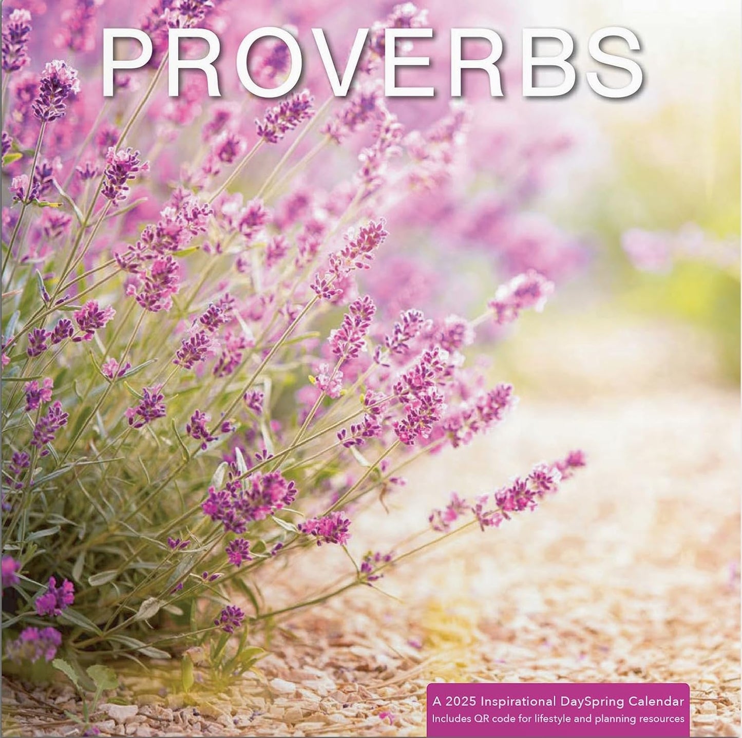 Proverbs: A 2025 Inspirational DaySpring Wall Calendar