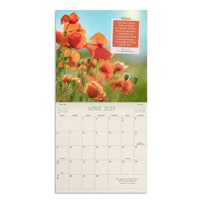 Max Lucado God is Always There: A 2025 Inspirational DaySpring Wall Calendar