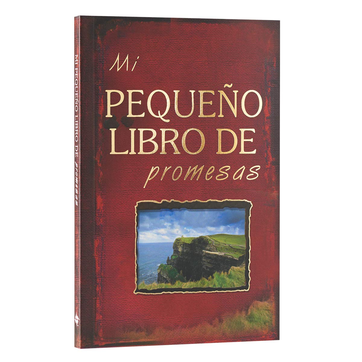 Mi pequeno libro de promesas