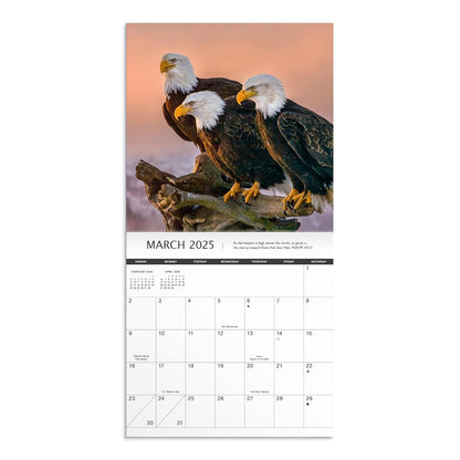 On Eagle's Wings Featuring Scripture From the King James Bible: A 2025 Inspirational DaySpring Wall Calendar