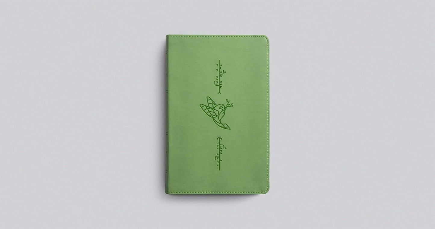 ESV Kid's Bible, Thinline (TruTone, Bird of the Air)