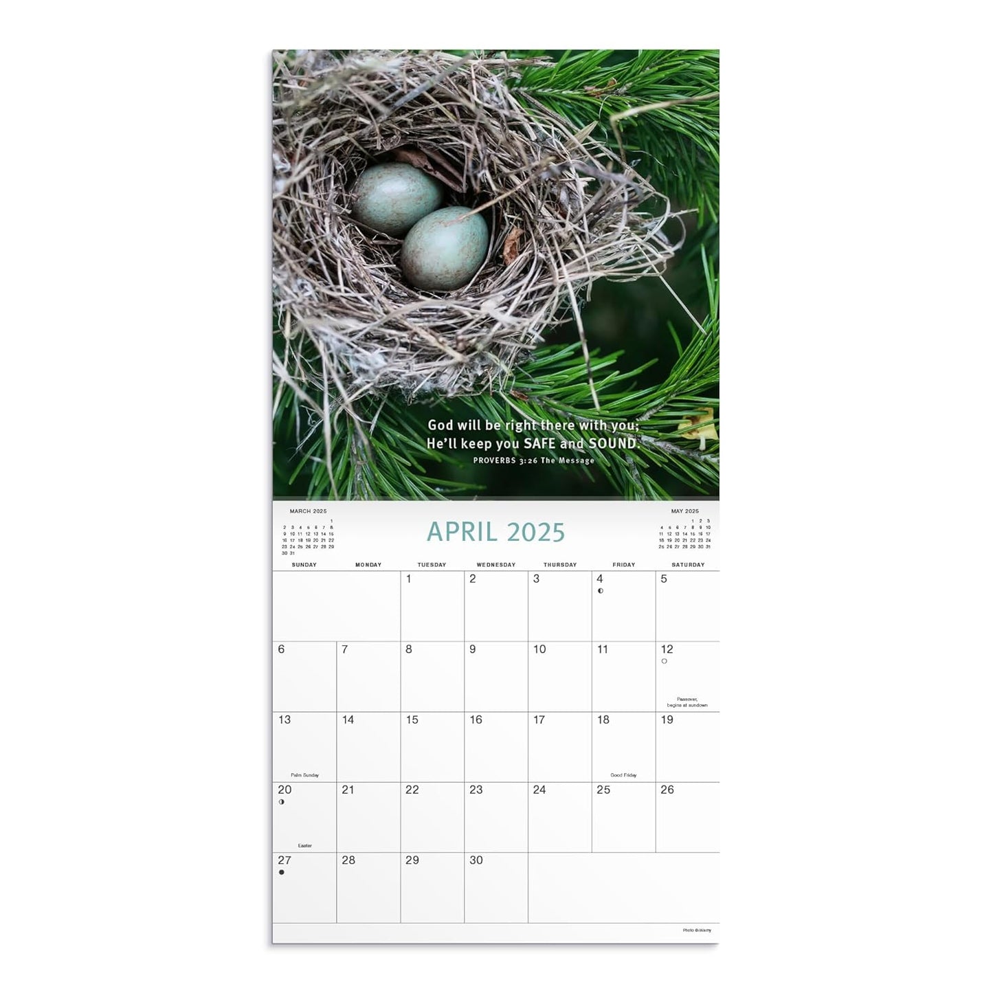 Proverbs: A 2025 Inspirational DaySpring Wall Calendar