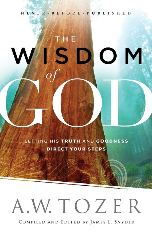 The Wisdom of God: Letting His Truth and Goodness Direct Your Steps