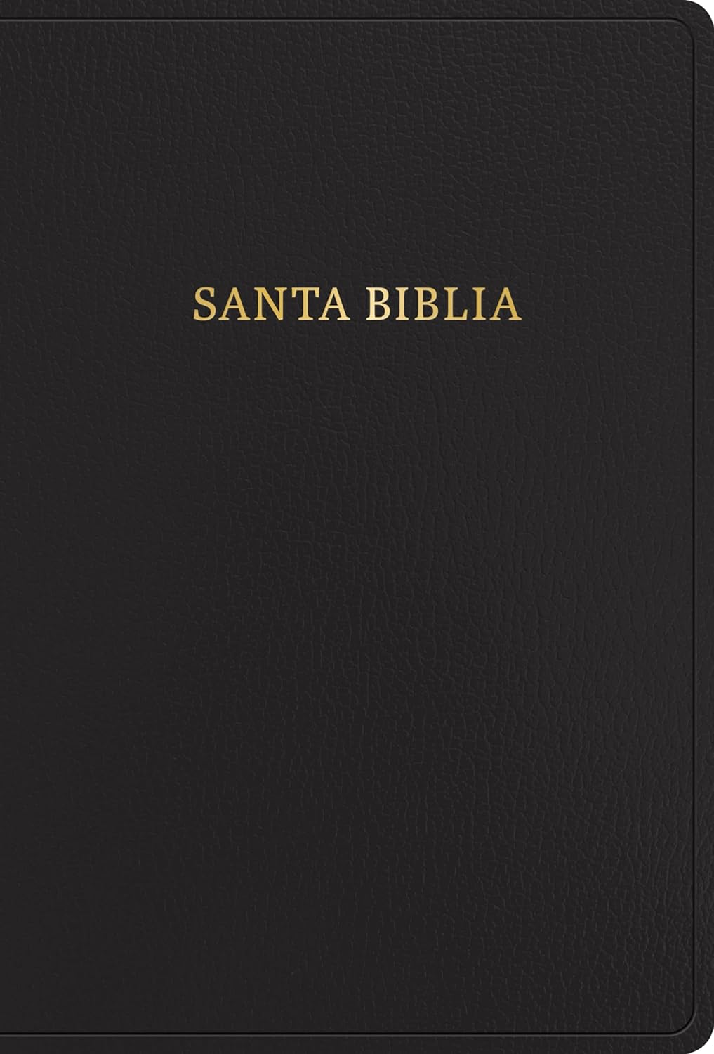 RVR 1960 Biblia letra súper gigante, negro, imitación piel (Edición 2023): Con referencias. Nueva tipografía (Spanish Edition)