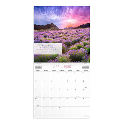 Psalms Nature: A 2025 Inspirational DaySpring Wall Calendar