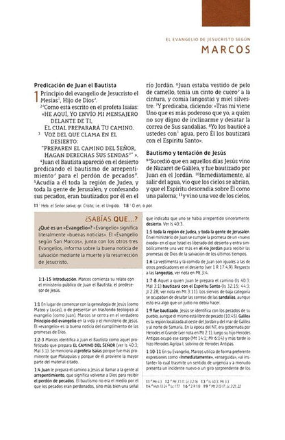 Biblia de estudio NBLA, Piel Imit., Gris (NBLA Study Bible, Leathersoft, Gray)