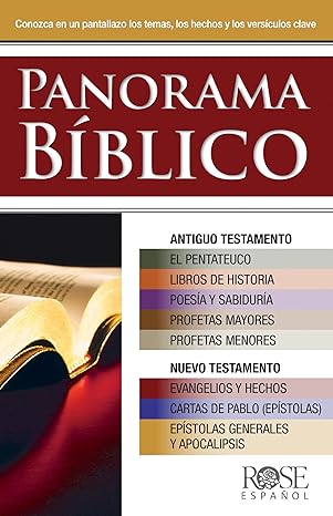 Panorama Bíblico: Conozca en un pantallazo los temas, los hechos y los versículos clave (Spanish Edition)