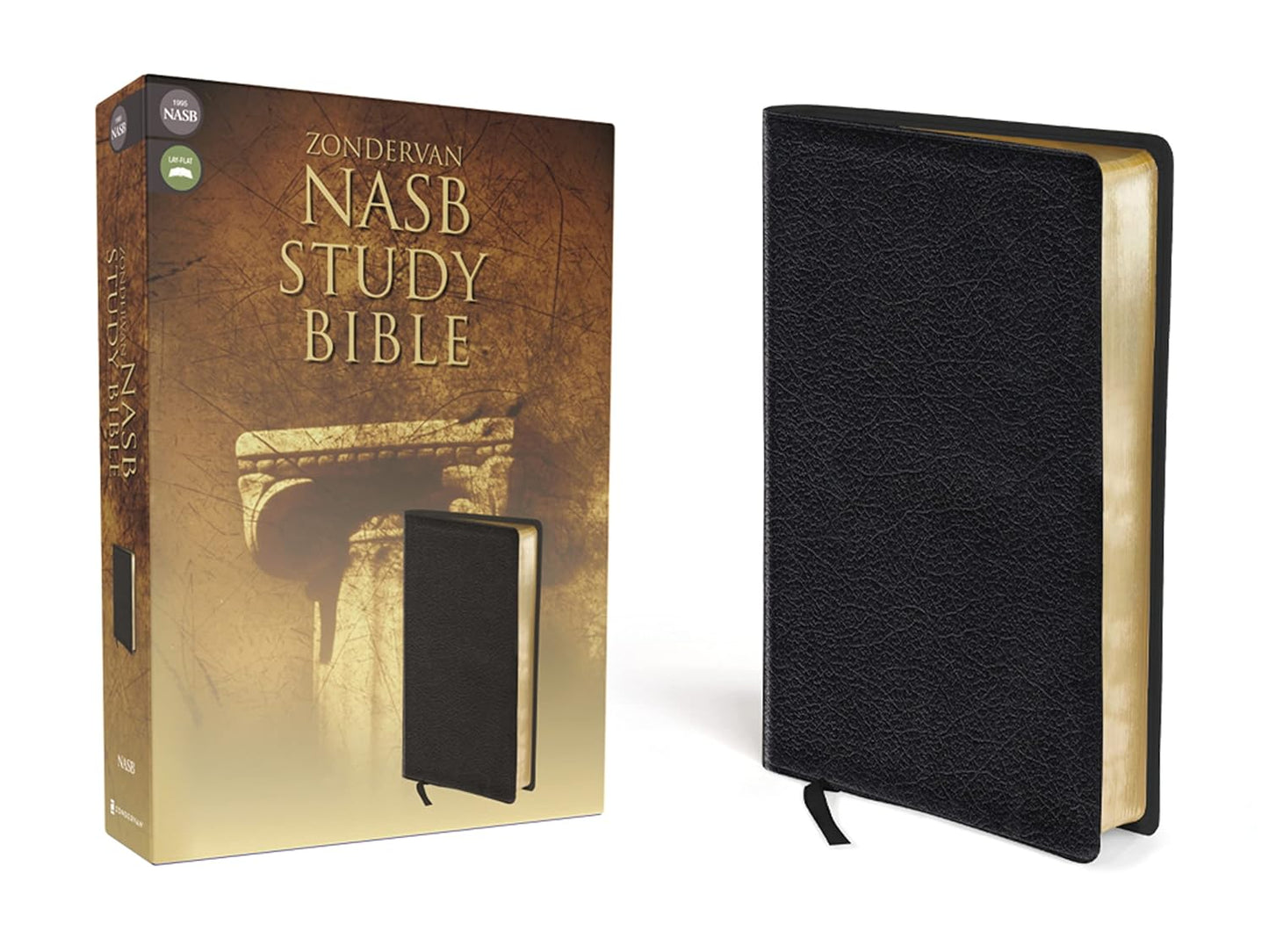 NASB Study Bible, Black