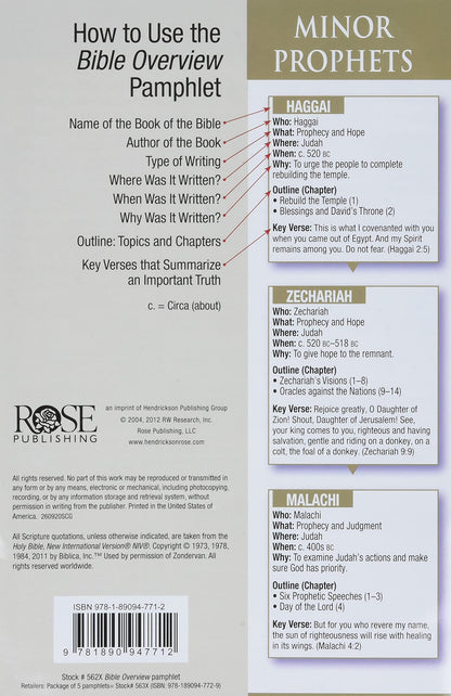 PAMPHLET- Bible Overview: Know Themes, Facts, and Key Verses at a Glance