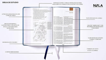 Biblia de estudio NBLA, Piel Imit., Gris (NBLA Study Bible, Leathersoft, Gray)