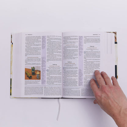 KJV The King James Study Bible Full-Color Edition