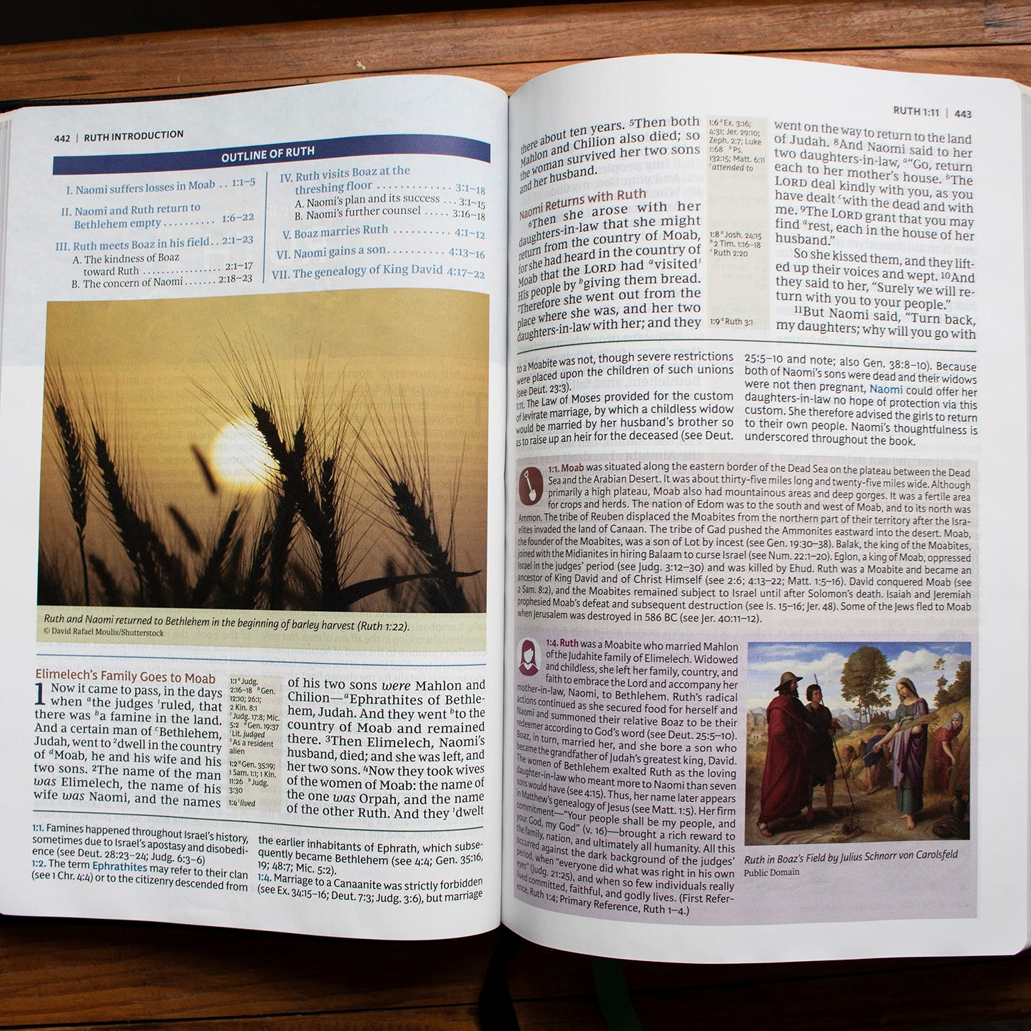 NKJV, Evangelical Study Bible