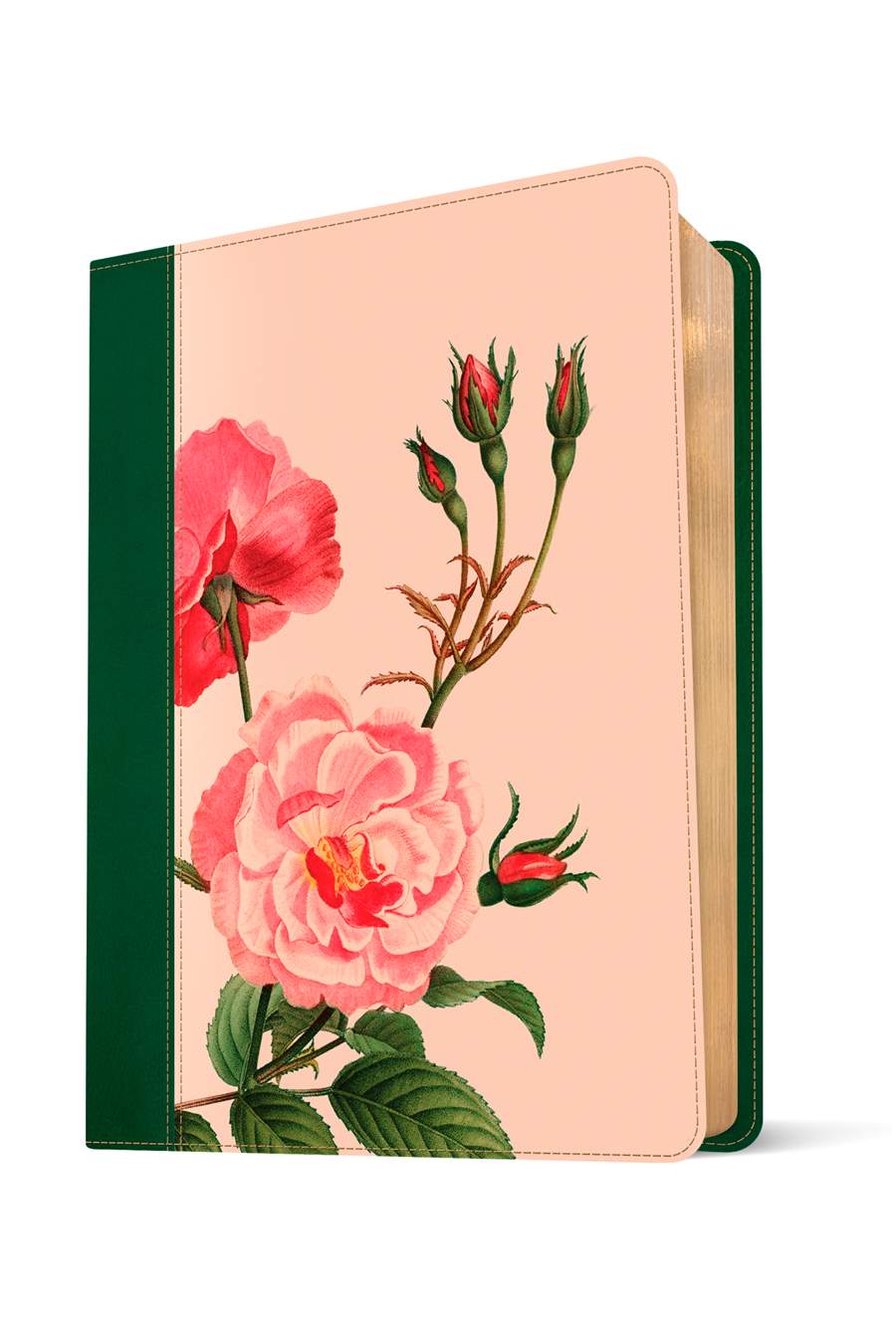 KJV Wide Margin Bible, Filament Enabled, Pink Rose Garden