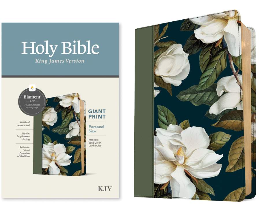 KJV Personal Size Giant Print Bible, Filament Enabled, Magnolia Sage Green