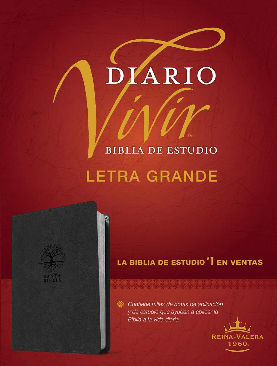 Biblia de estudio del diario vivir RVR60, letra grande, Gris Carbón