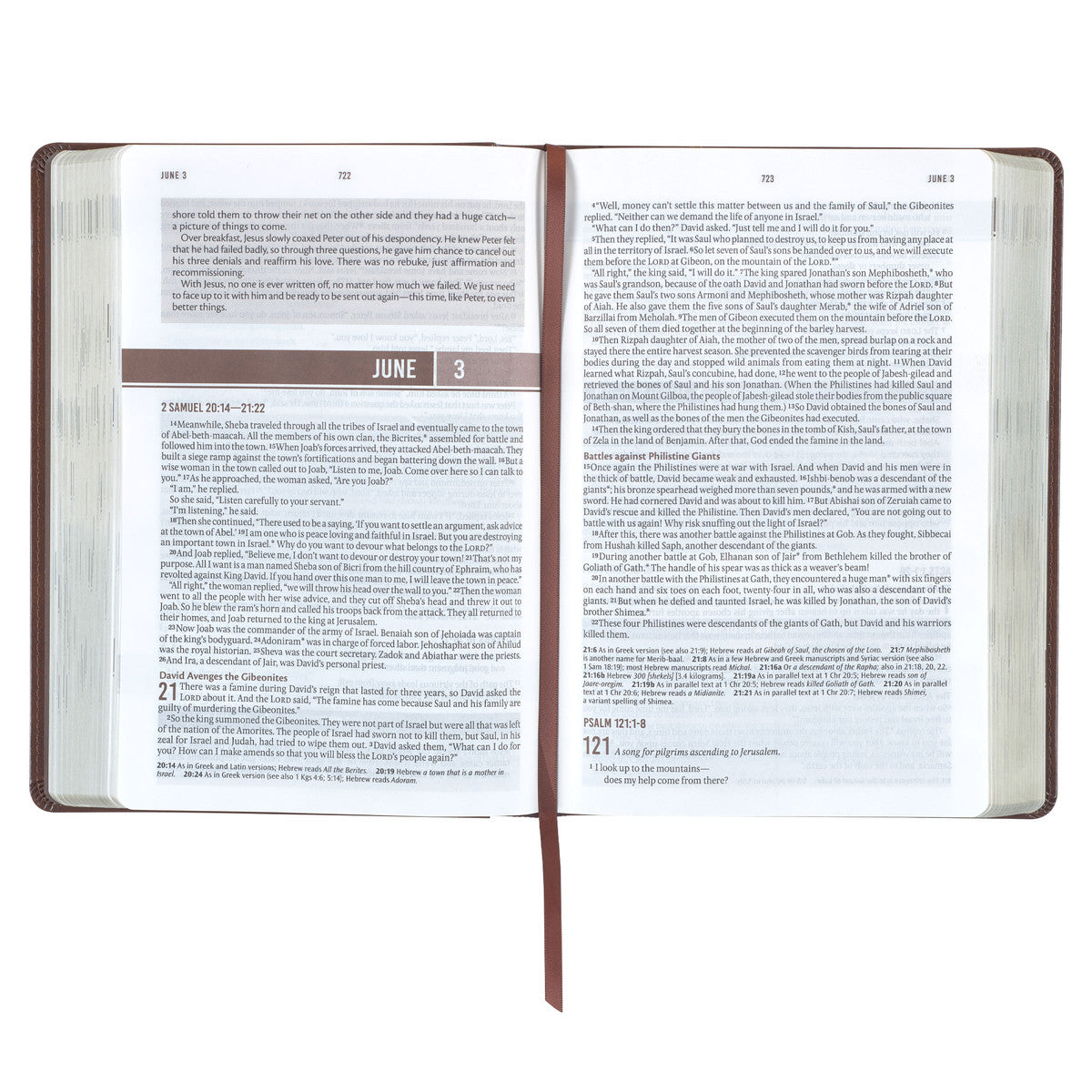 NLT Holy Bible Everyday Devotional Bible for Men