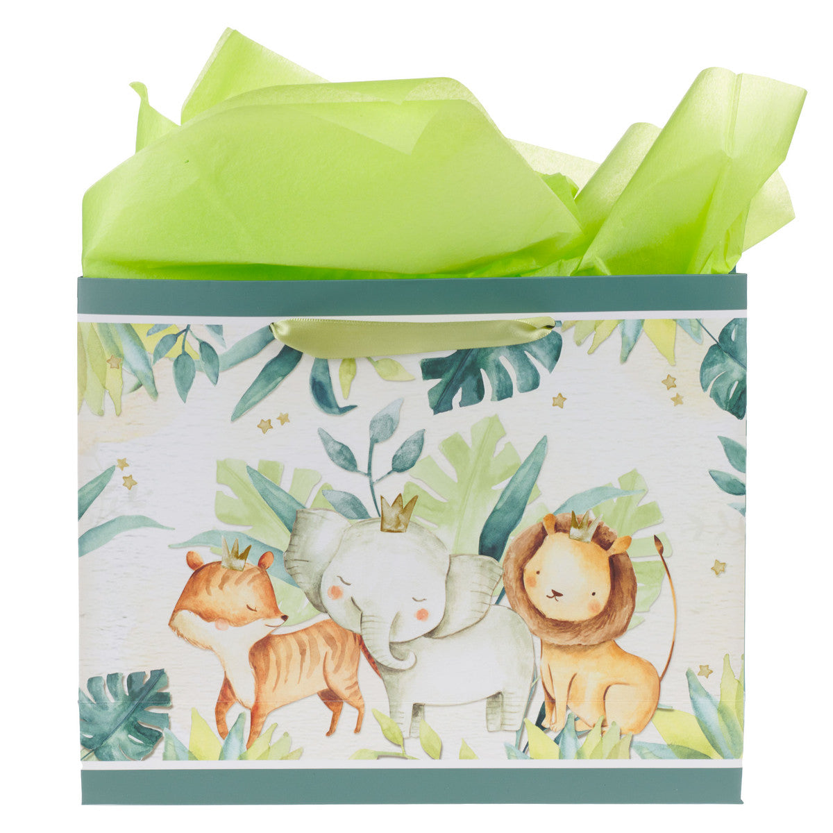 Every Good and Perfect Gift Forest Animals Large Landscape Gift Bag with Card Set - James 1:17