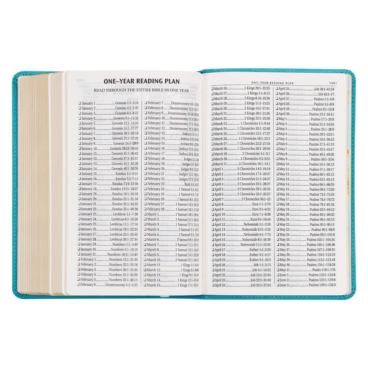 Aqua Blue Large Print Compact King James Version Bible