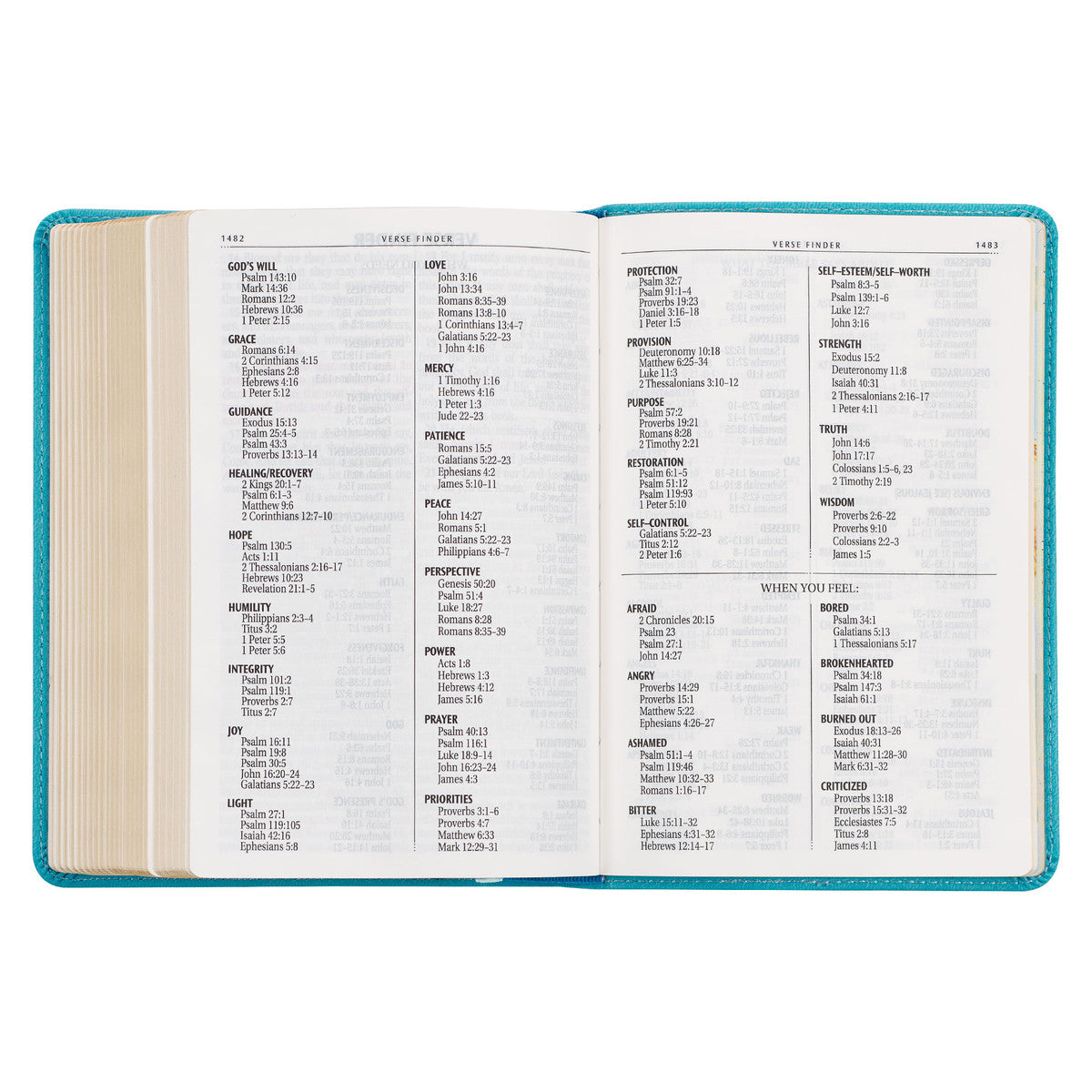 Aqua Blue Large Print Compact King James Version Bible