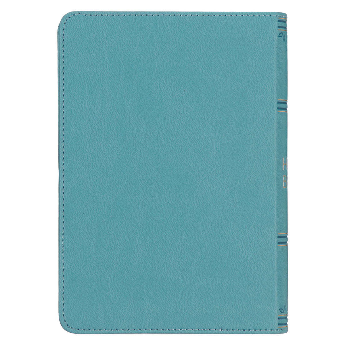 Aqua Blue Large Print Compact King James Version Bible