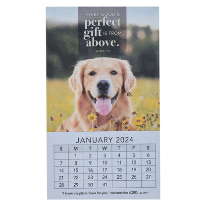2024 Every Perfect Gift Mini Magnetic Calendar - James 1:17