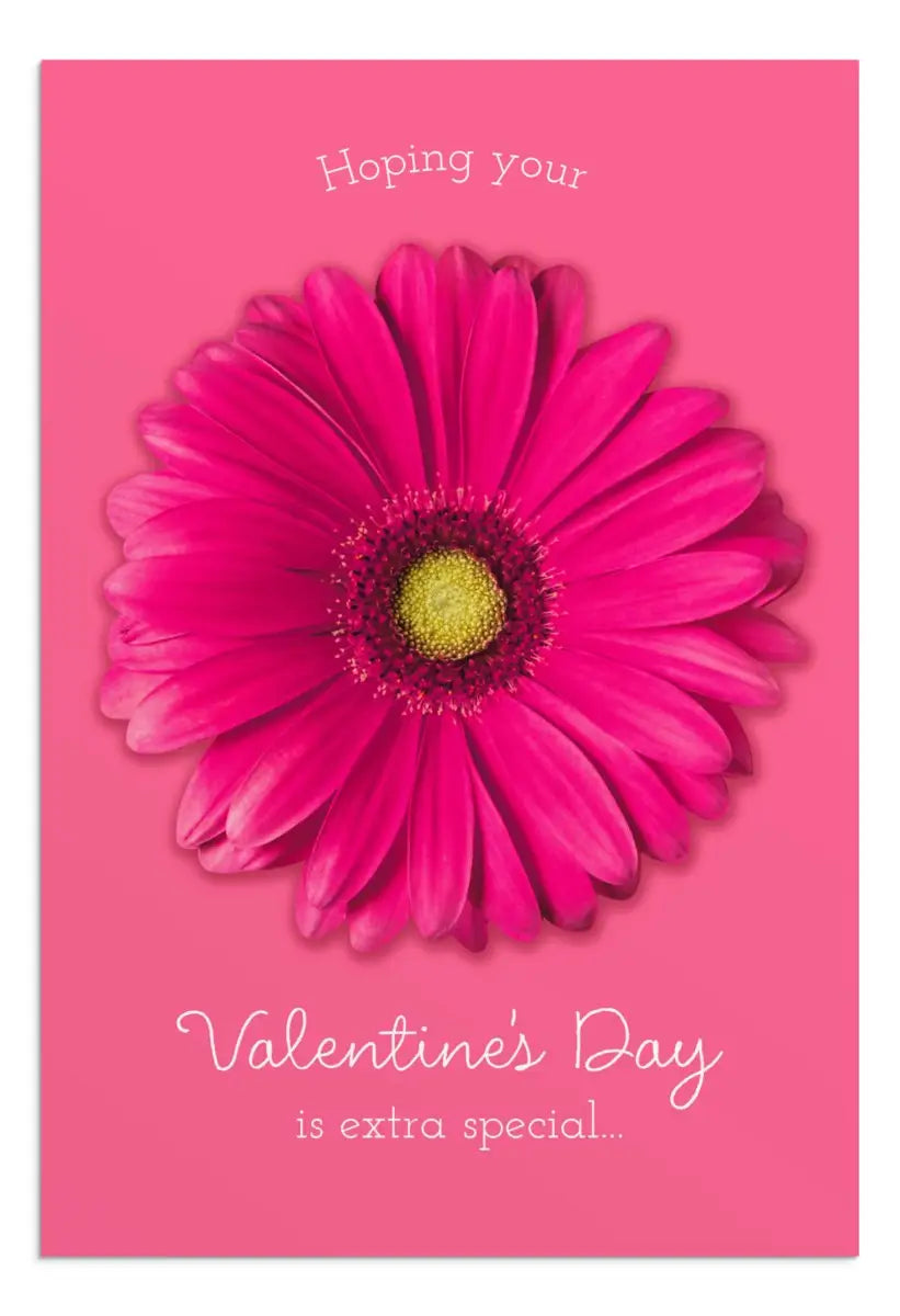 Valentine's Day - Pink Flowers - 12 Boxed Cards and Envelopes, KJV