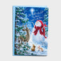 Snowman Gazer and Friends - 18 Christmas Boxed Cards, KJV